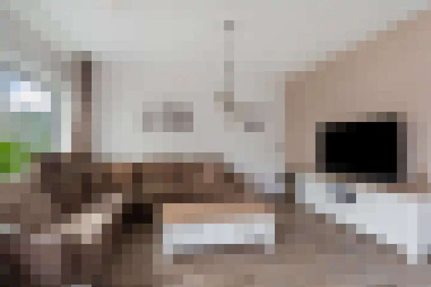Constantijnstraat 11 Andelst thumbnail 12