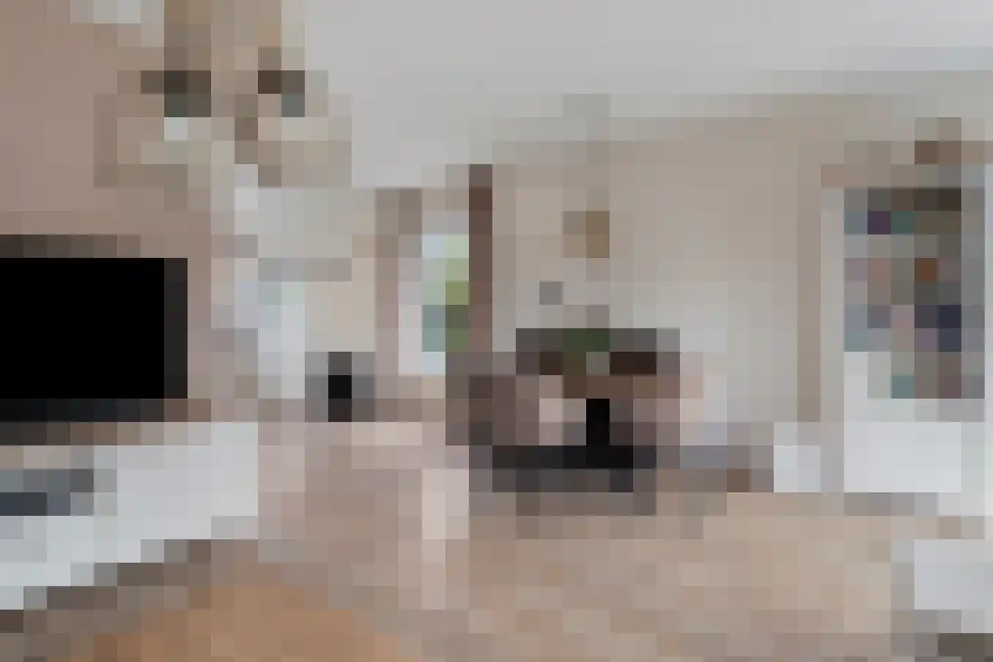 Constantijnstraat 11 Andelst thumbnail 14