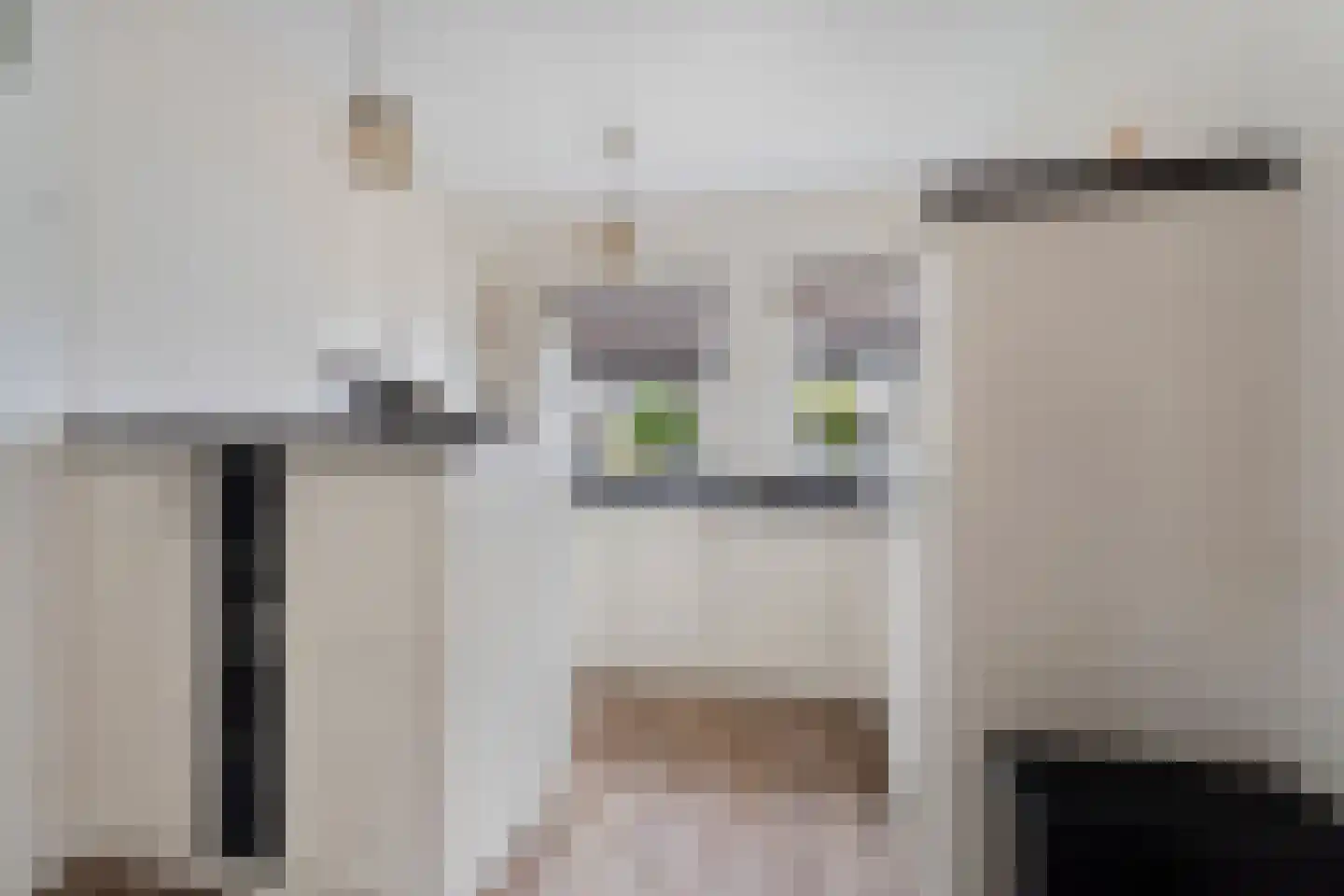 Constantijnstraat 11 Andelst thumbnail 16