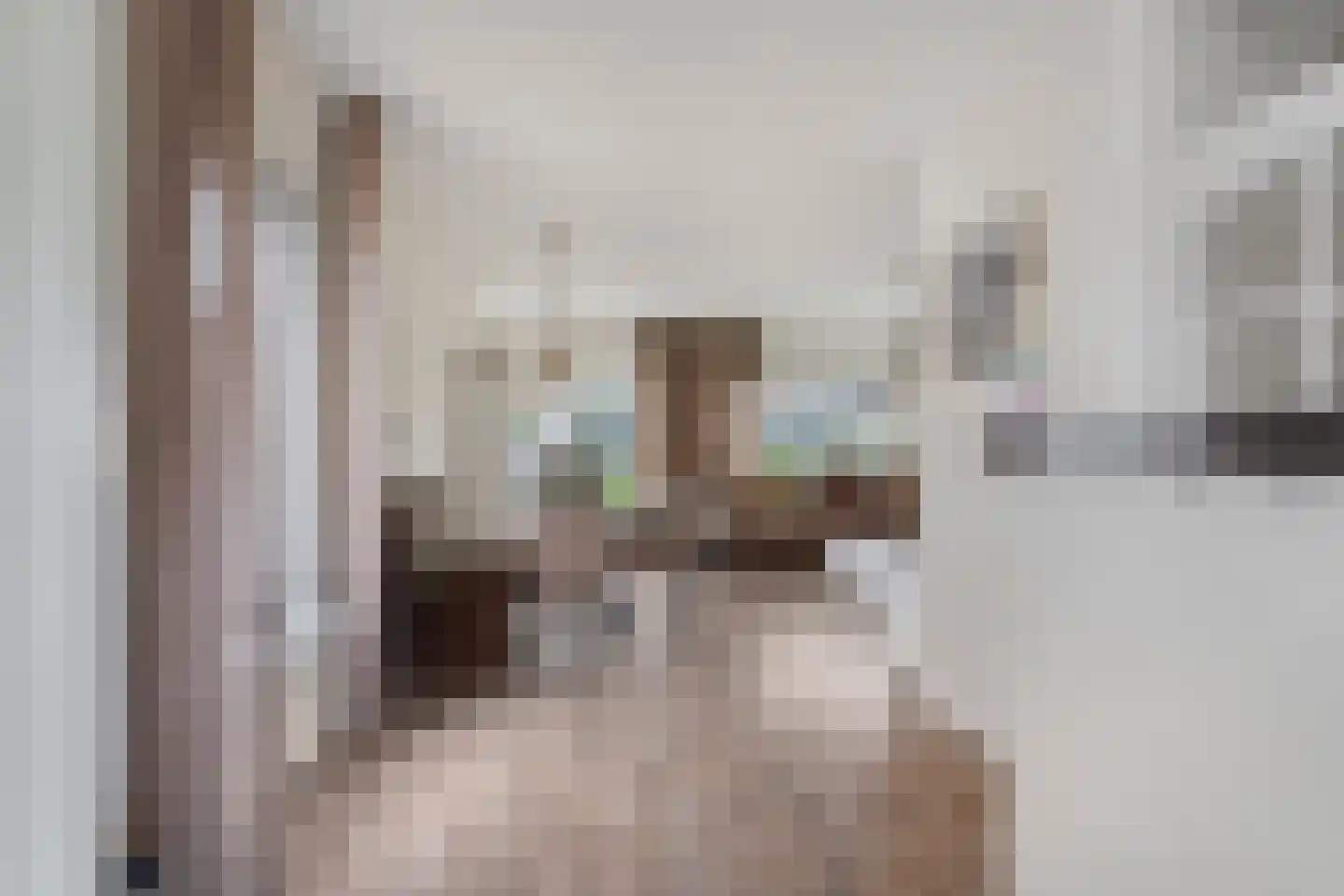 Constantijnstraat 11 Andelst thumbnail 20