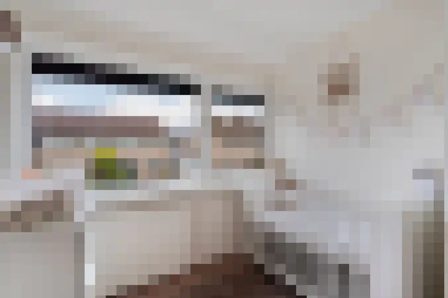 Constantijnstraat 11 Andelst thumbnail 35