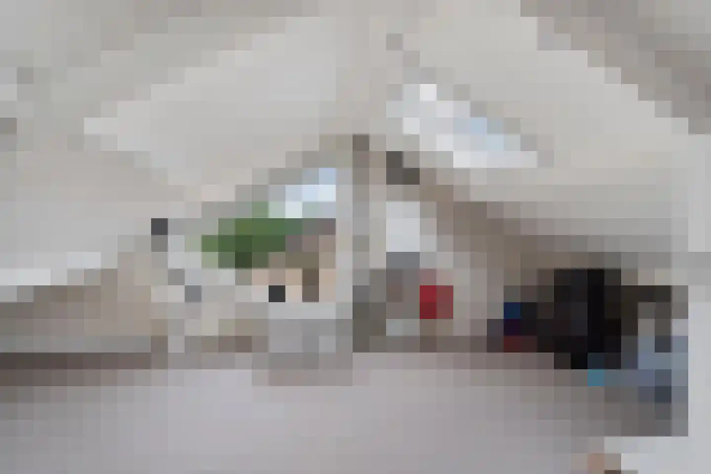 Constantijnstraat 11 Andelst thumbnail 39