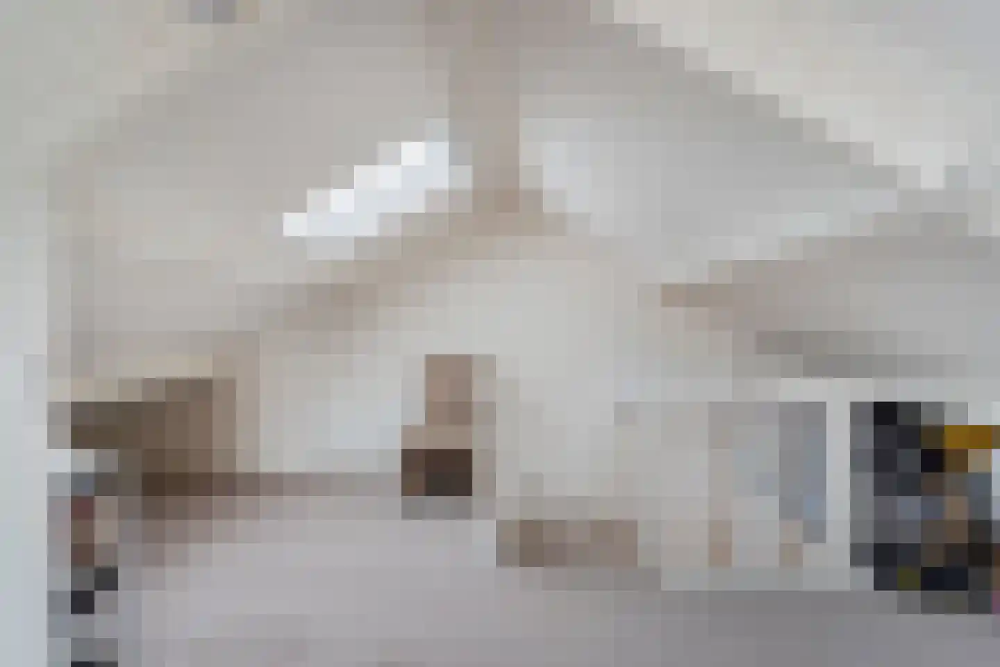 Constantijnstraat 11 Andelst thumbnail 40