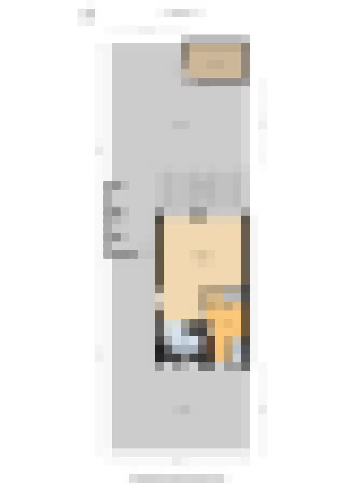 Constantijnstraat 11 Andelst thumbnail 41
