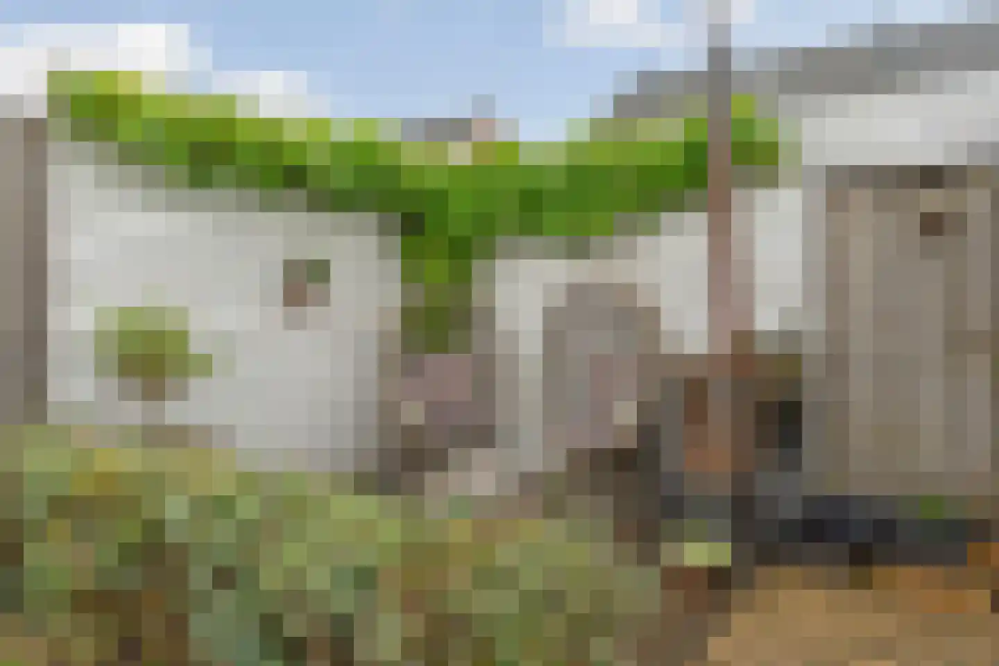 Constantijnstraat 11 Andelst thumbnail 48