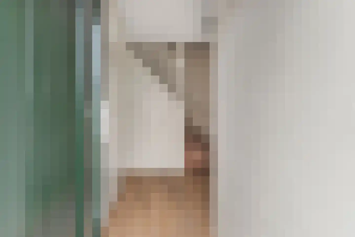 Constantijnstraat 11 Andelst thumbnail 7