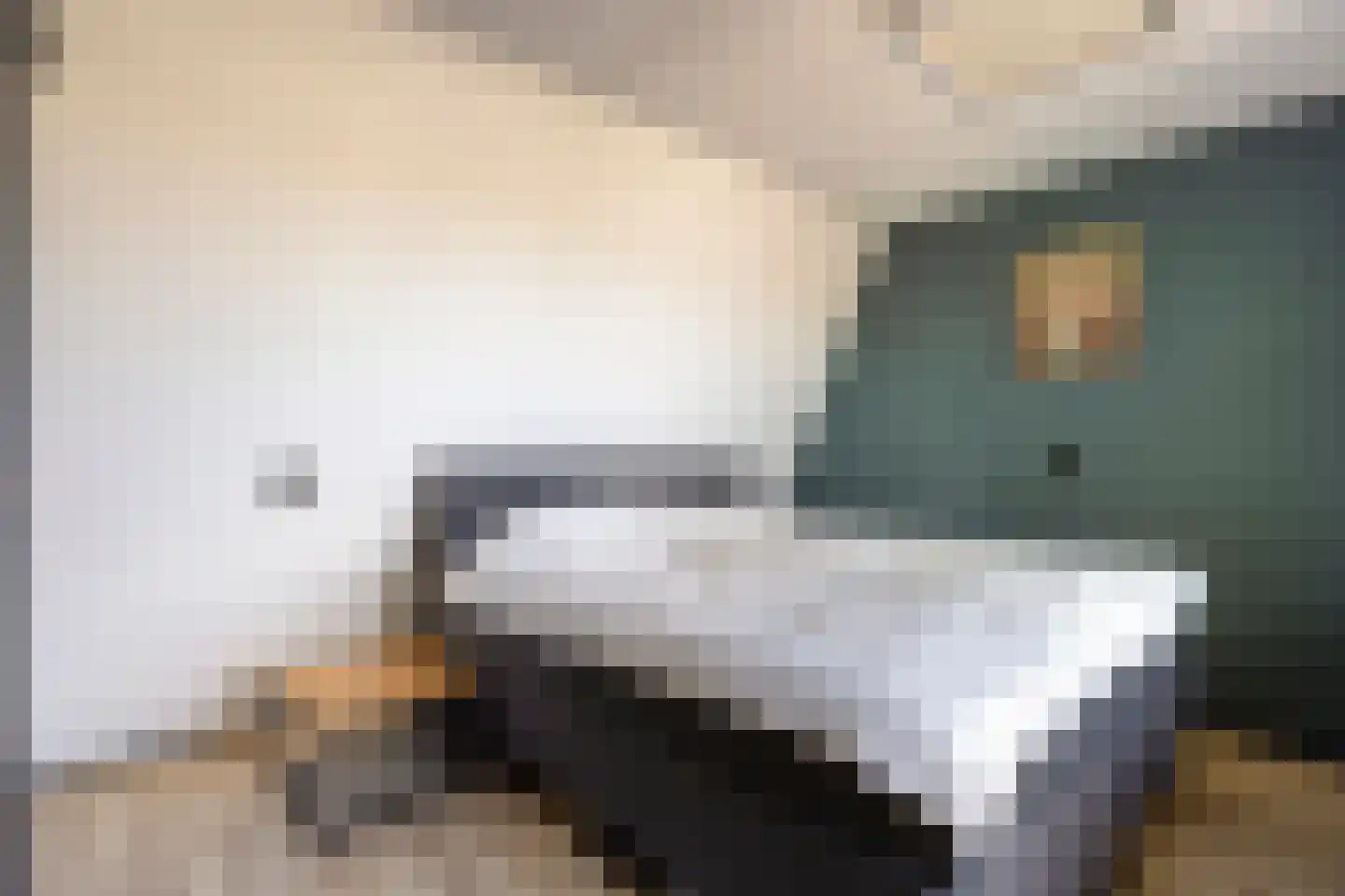 Constantijnstraat 12 Lisse thumbnail 17