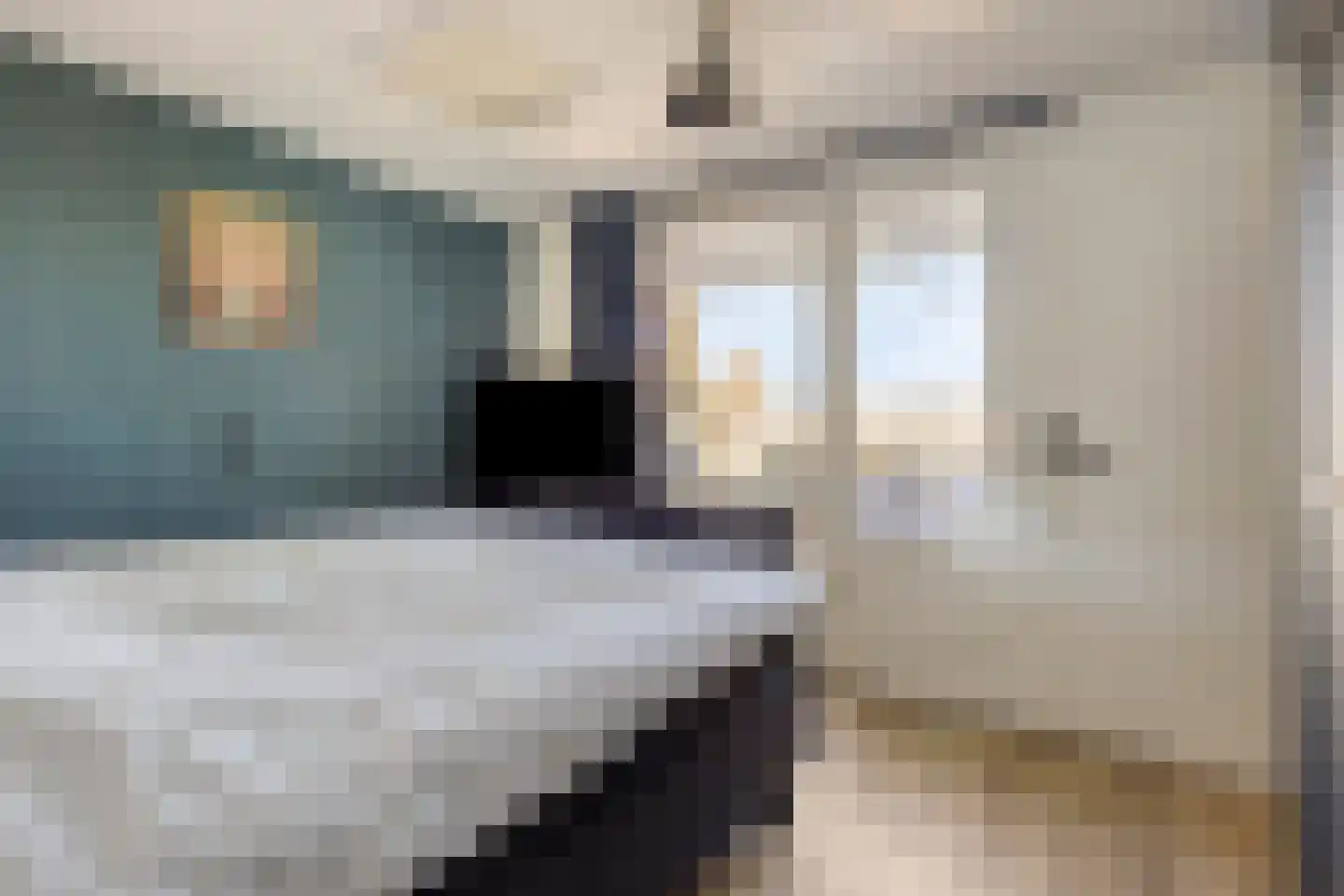 Constantijnstraat 12 Lisse thumbnail 18