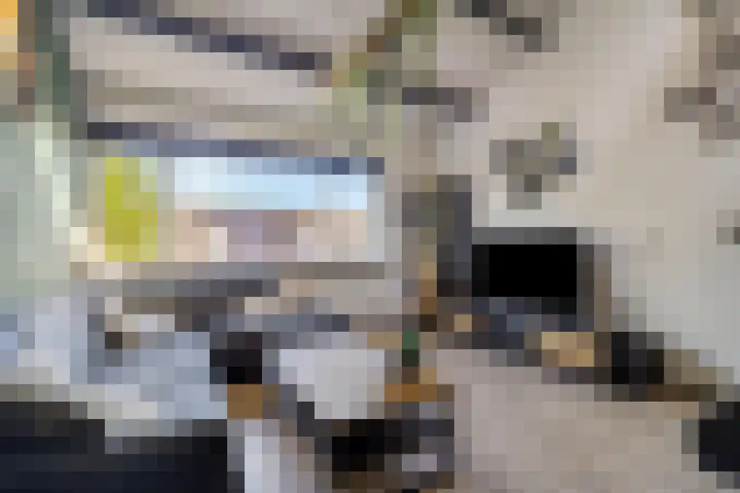 Constantijnstraat 12 Lisse thumbnail 4