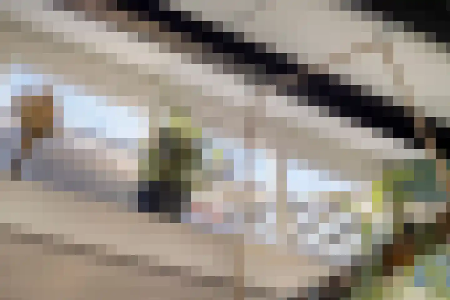 Constantijnstraat 12 Lisse thumbnail 6