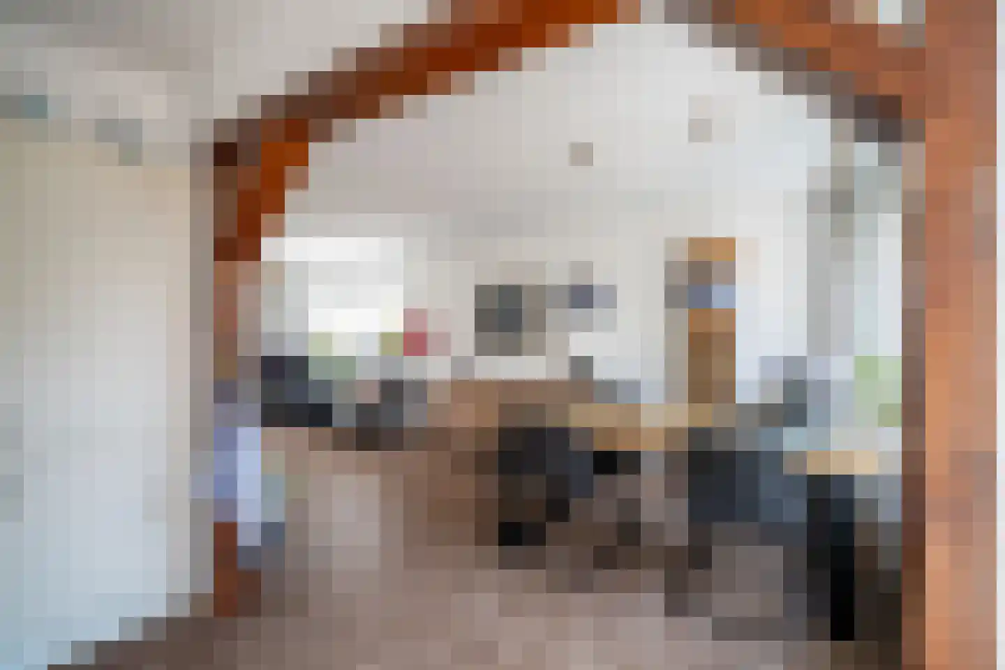 Constantijnstraat 12 Zoeterwoude thumbnail 22