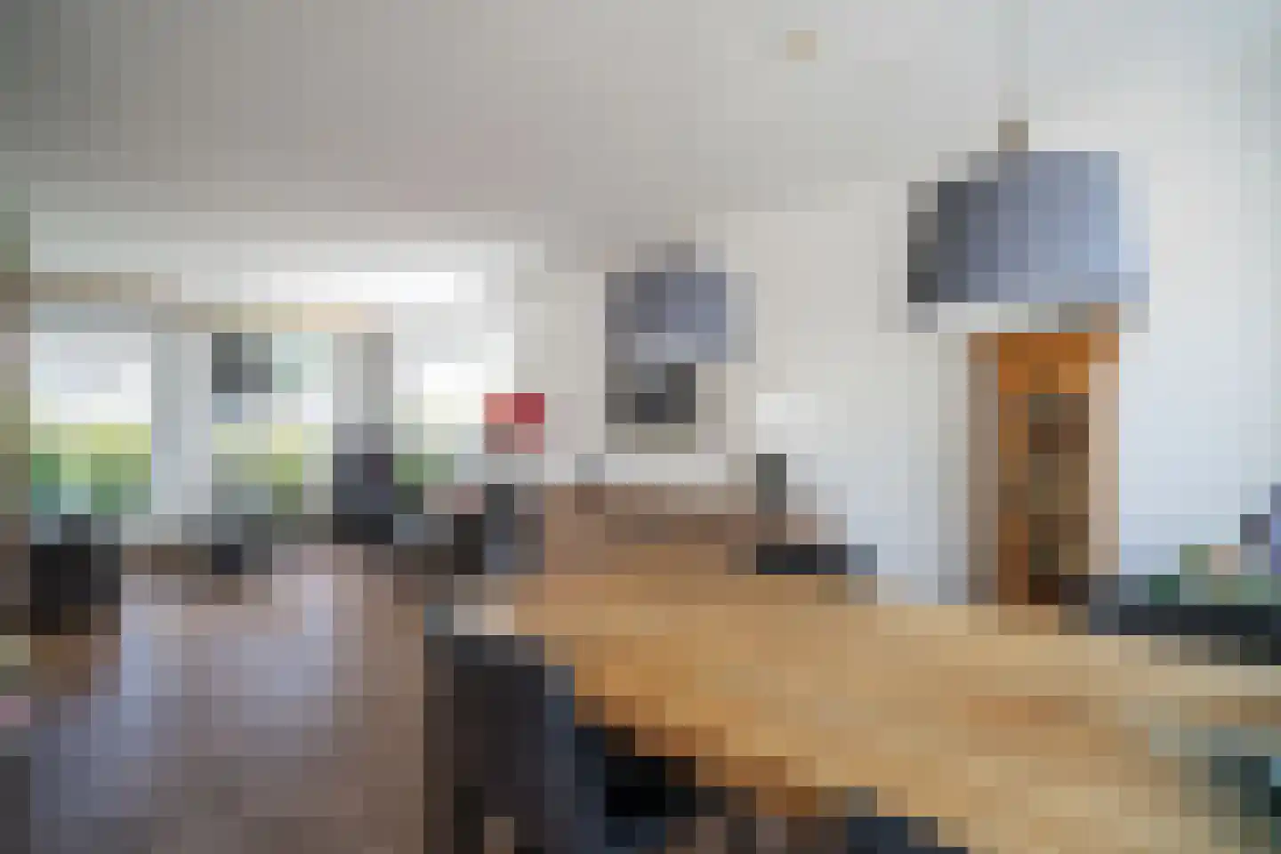 Constantijnstraat 12 Zoeterwoude thumbnail 23