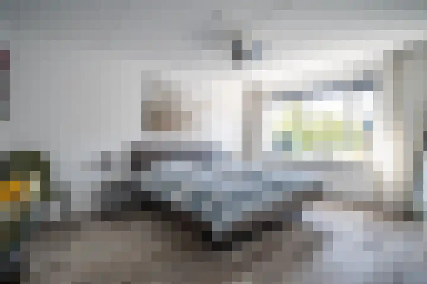 Constantijnstraat 12 Zoeterwoude thumbnail 31