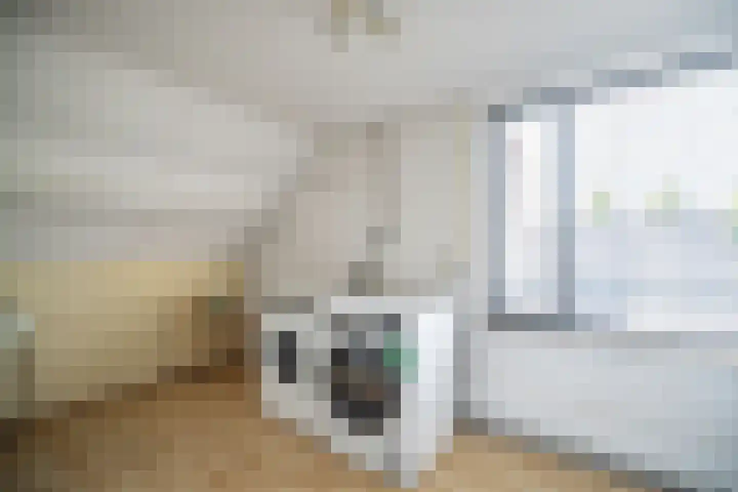 Constantijnstraat 12 Zoeterwoude thumbnail 51