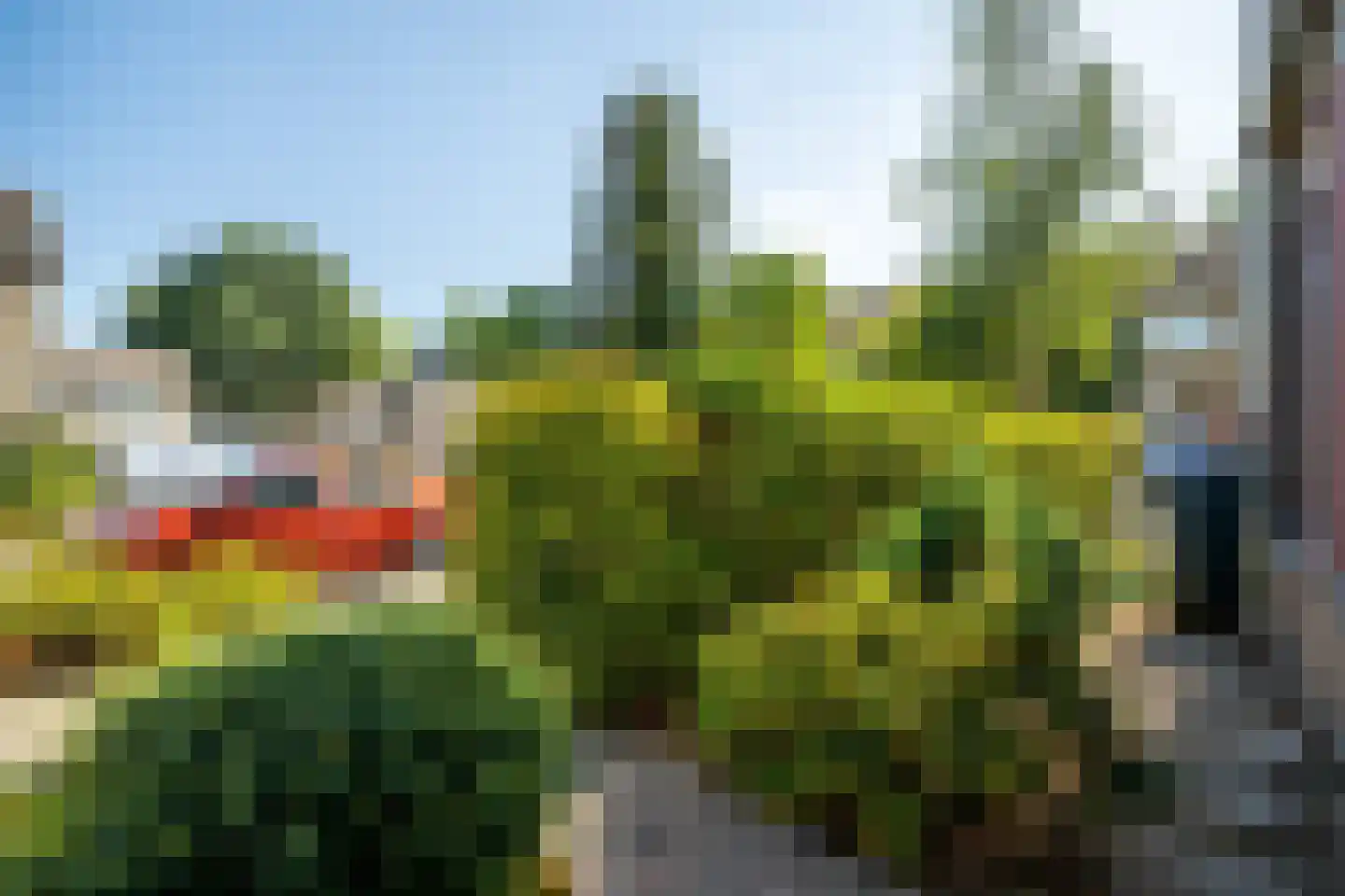 Constantijnstraat 12 Zoeterwoude thumbnail 6