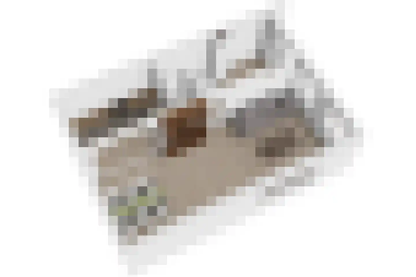Constantijnstraat 12 Zoeterwoude thumbnail 60