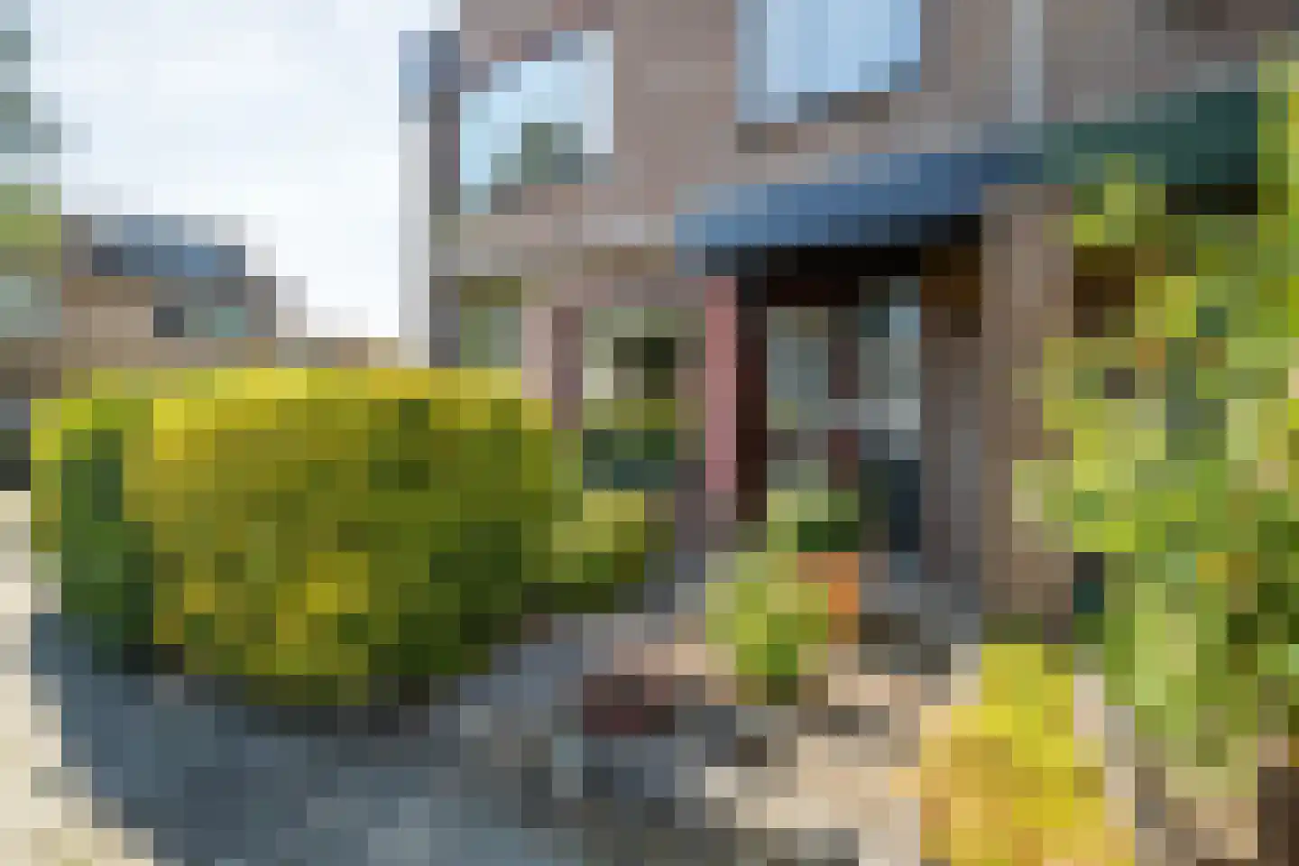 Constantijnstraat 12 Zoeterwoude thumbnail 7