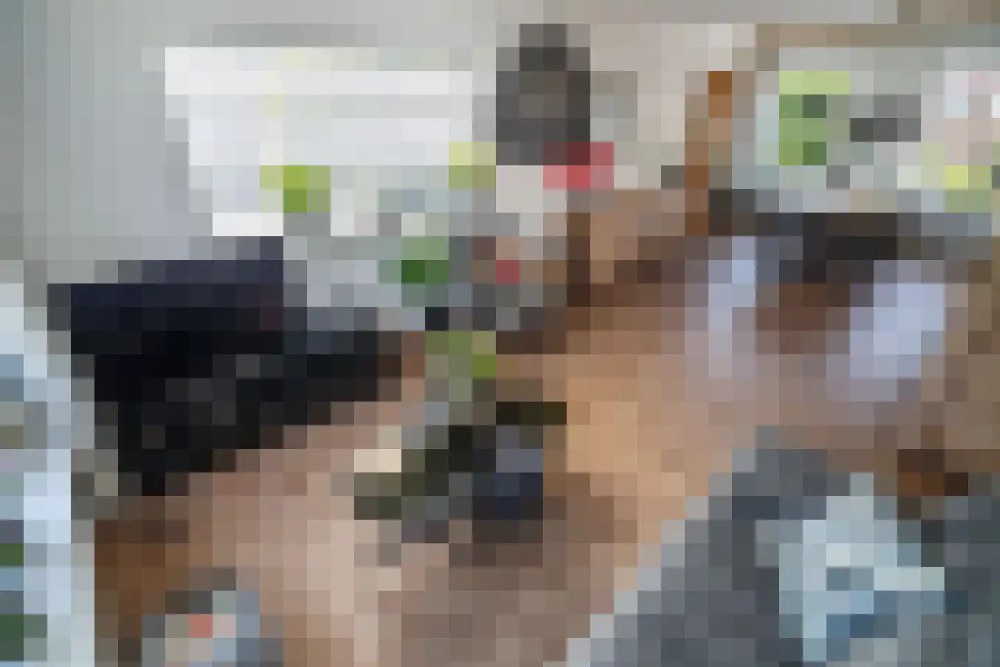 Constantijnstraat 12 Zoeterwoude thumbnail 8