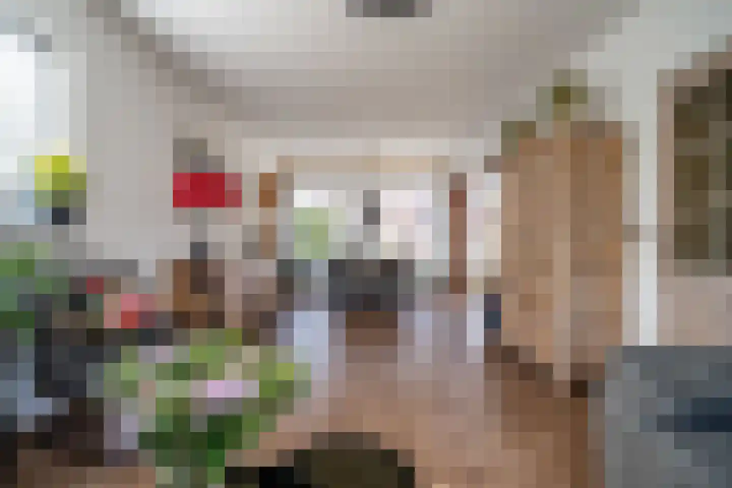 Constantijnstraat 12 Zoeterwoude thumbnail 9