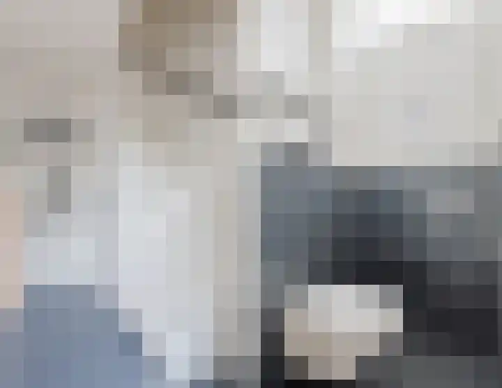 Constantijnstraat 123 Vroomshoop thumbnail 13