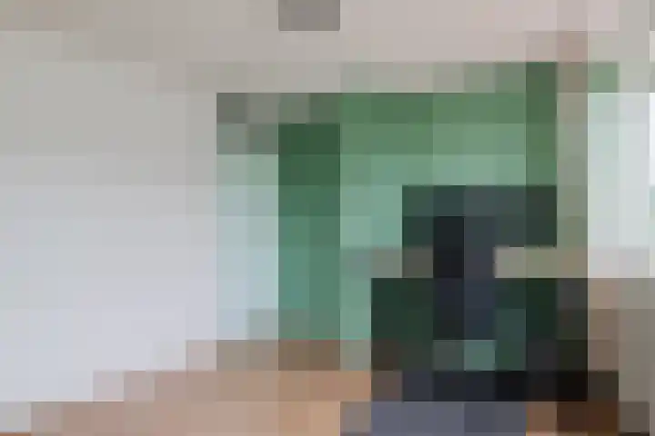 Constantijnstraat 123 Vroomshoop thumbnail 19