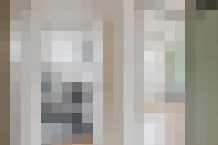 Constantijnstraat 123 Vroomshoop thumbnail 20