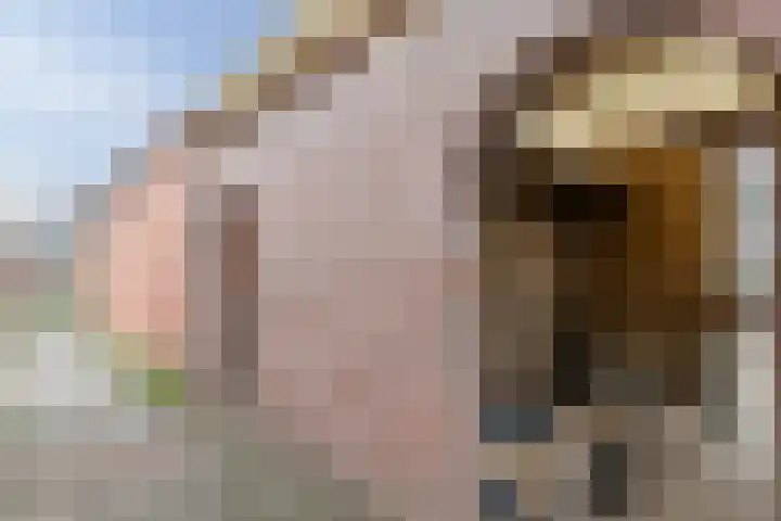 Constantijnstraat 123 Vroomshoop thumbnail 32