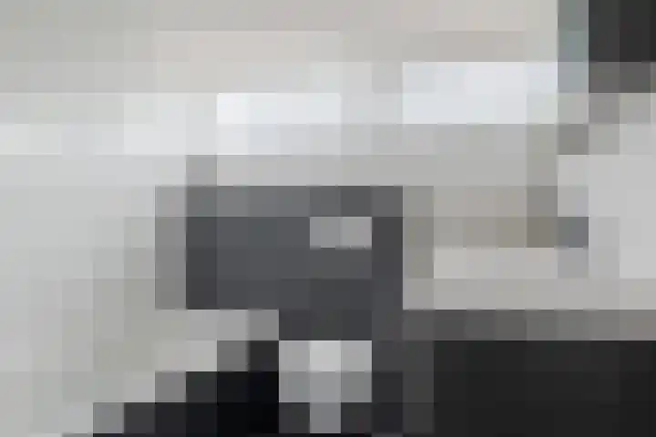 Constantijnstraat 123 Vroomshoop thumbnail 4
