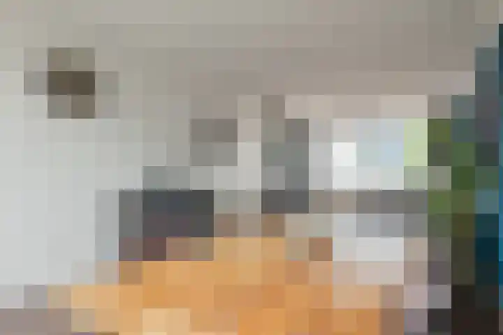 Constantijnstraat 123 Vroomshoop thumbnail 8