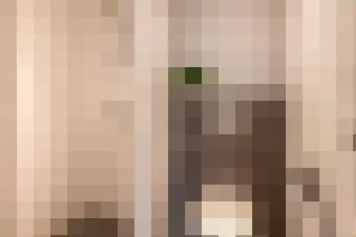 Constantijnstraat 15 Nuenen thumbnail 31