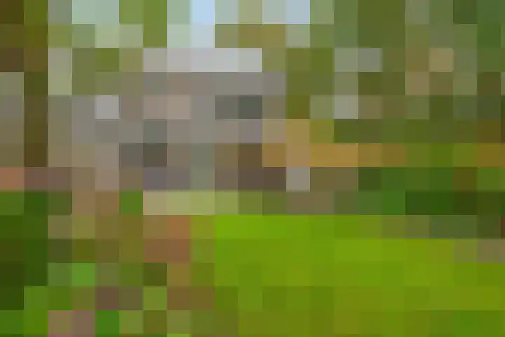 Constantijnstraat 15 Nuenen thumbnail 37