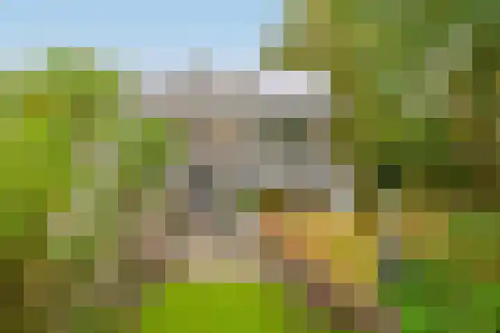 Constantijnstraat 15 Nuenen thumbnail 42