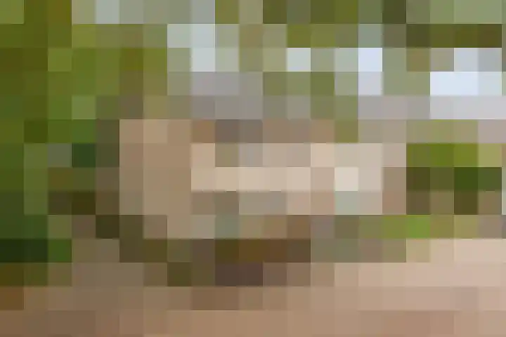 Constantijnstraat 15 Nuenen thumbnail 5