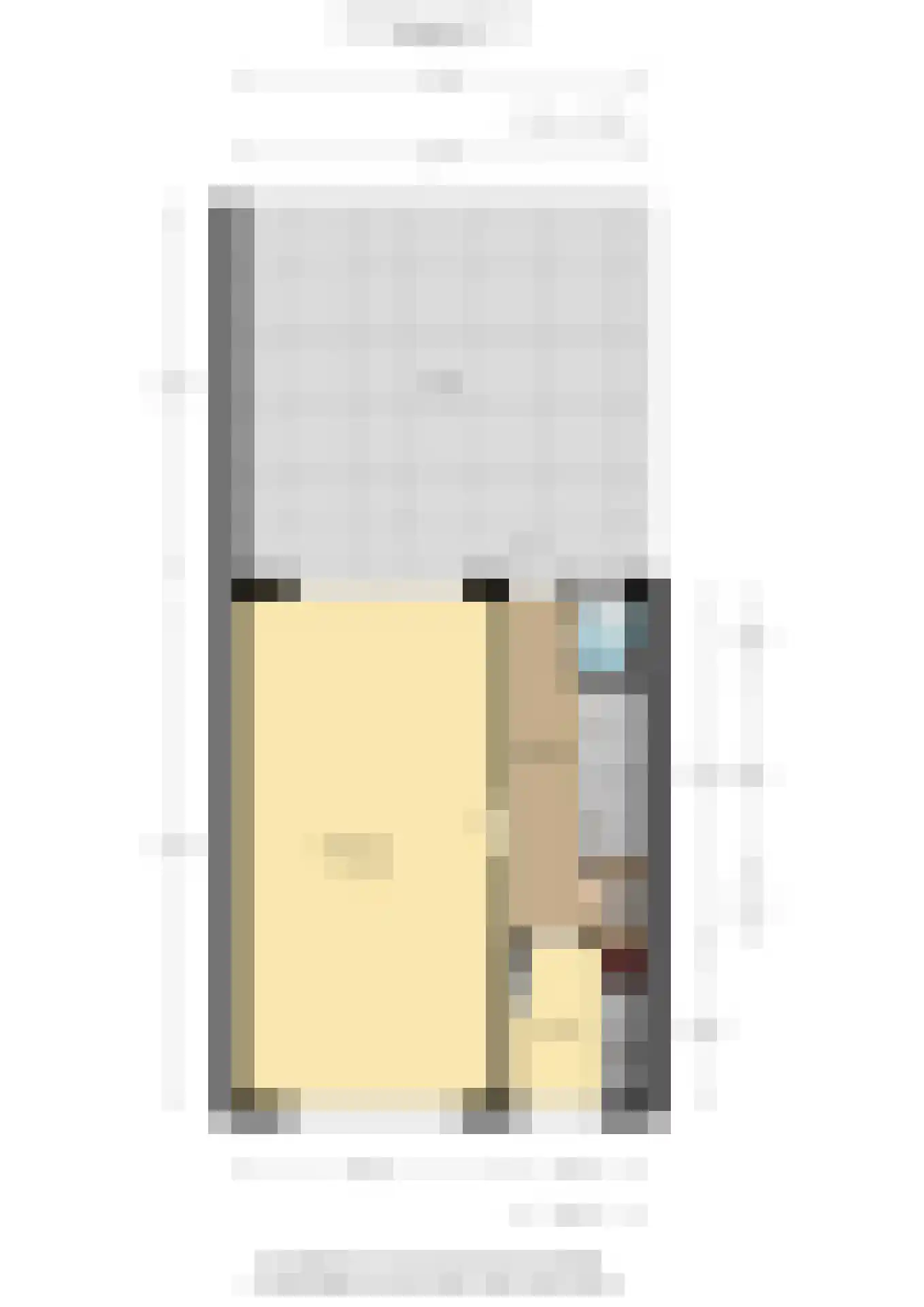 Constantijnstraat 17 a Nijverdal thumbnail 30