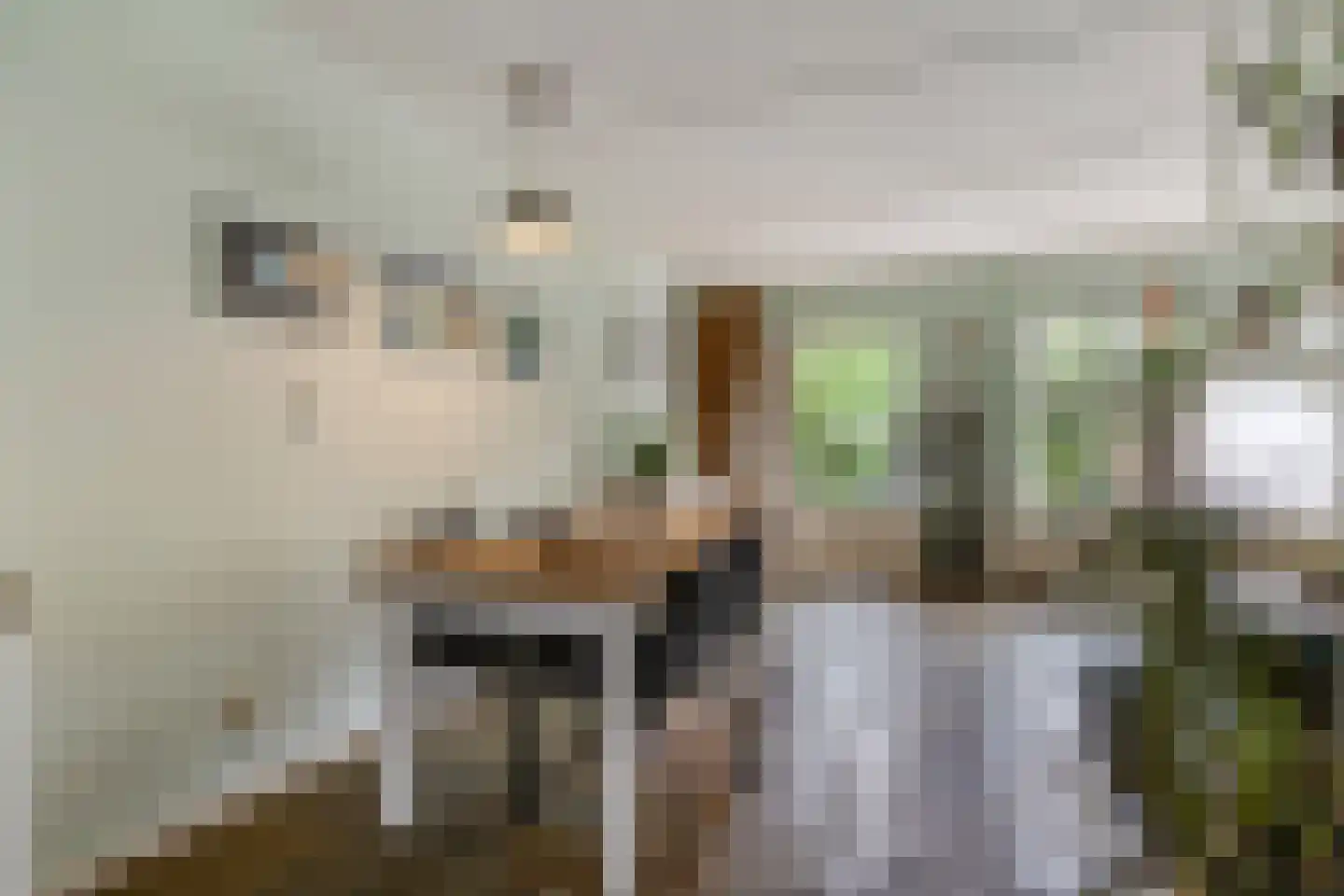 Constantijnstraat 2 Andelst thumbnail 10