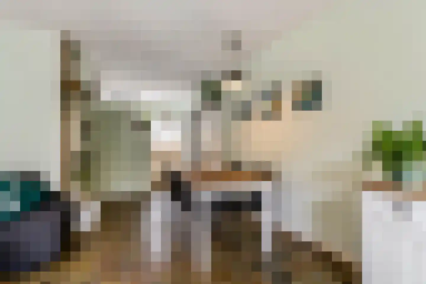 Constantijnstraat 2 Andelst thumbnail 13