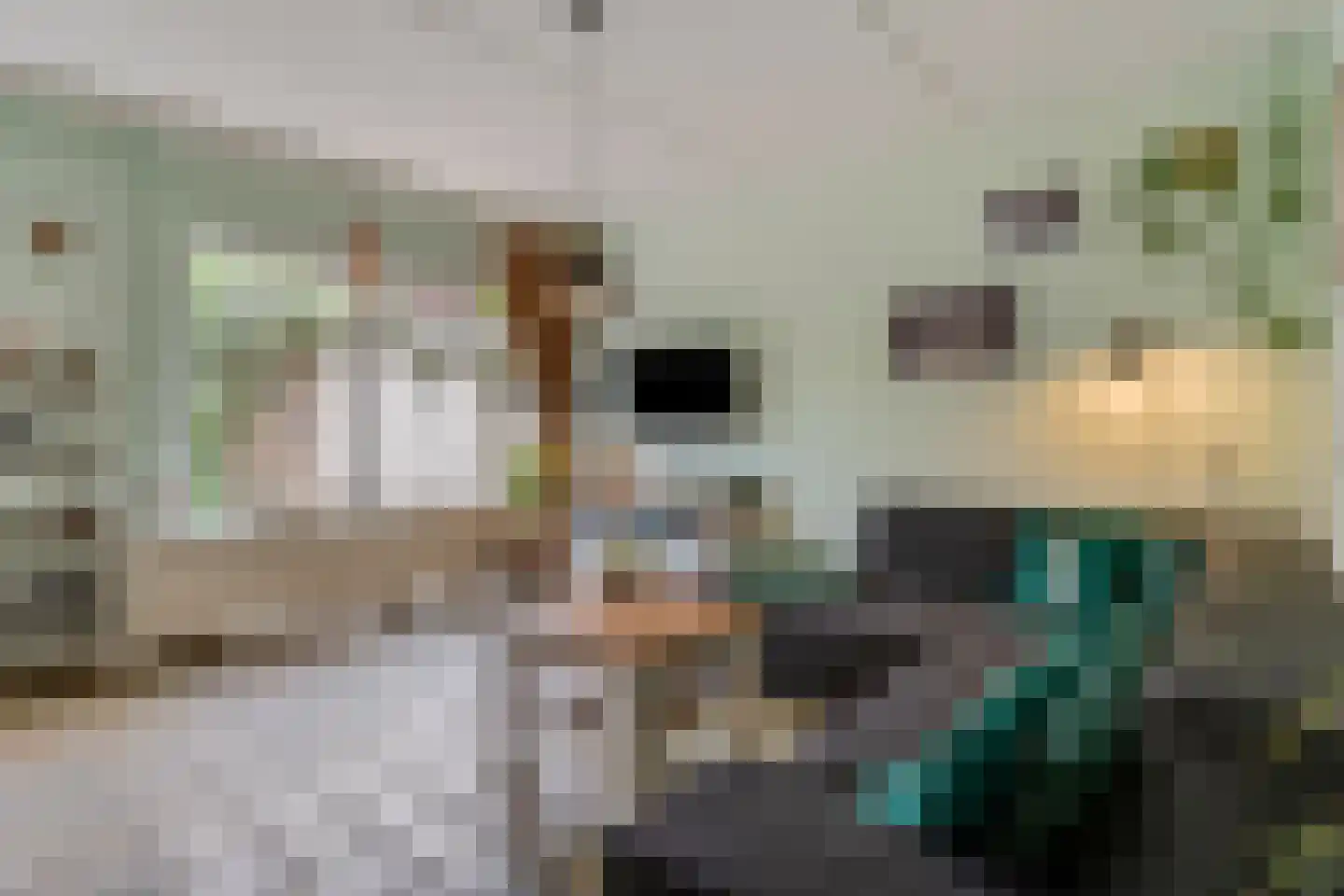 Constantijnstraat 2 Andelst thumbnail 16