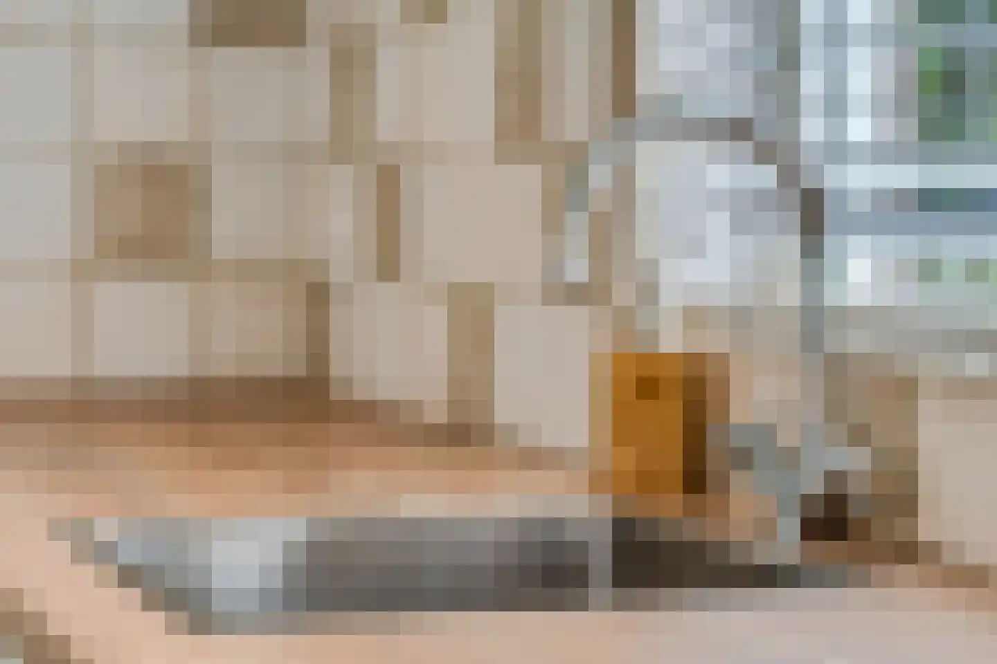 Constantijnstraat 2 Andelst thumbnail 18
