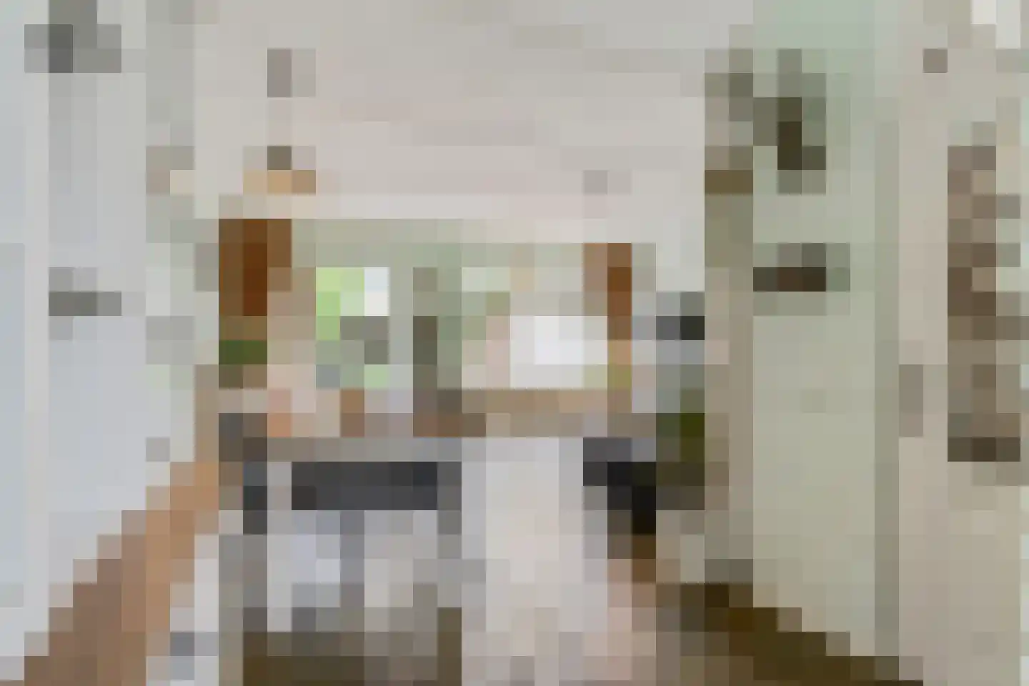 Constantijnstraat 2 Andelst thumbnail 20