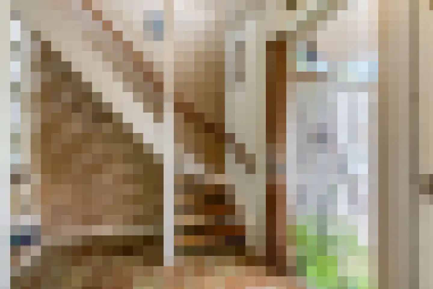 Constantijnstraat 2 Andelst thumbnail 21