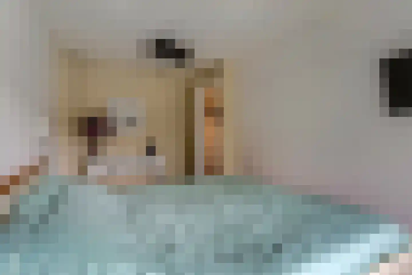 Constantijnstraat 2 Andelst thumbnail 23