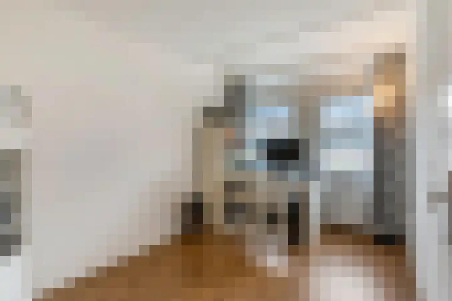 Constantijnstraat 2 Andelst thumbnail 24