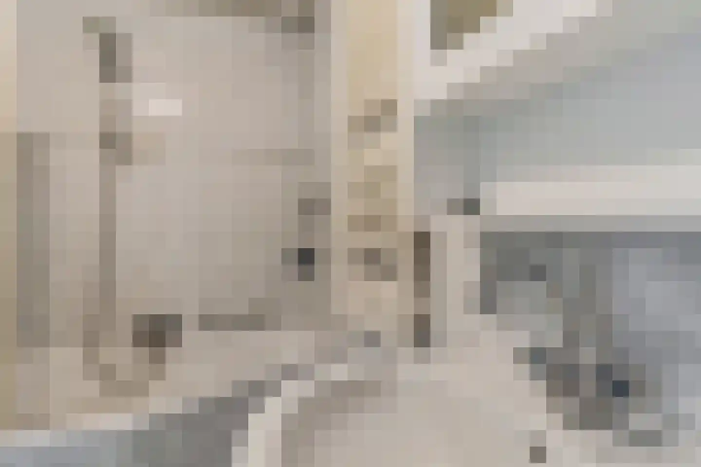 Constantijnstraat 2 Andelst thumbnail 26