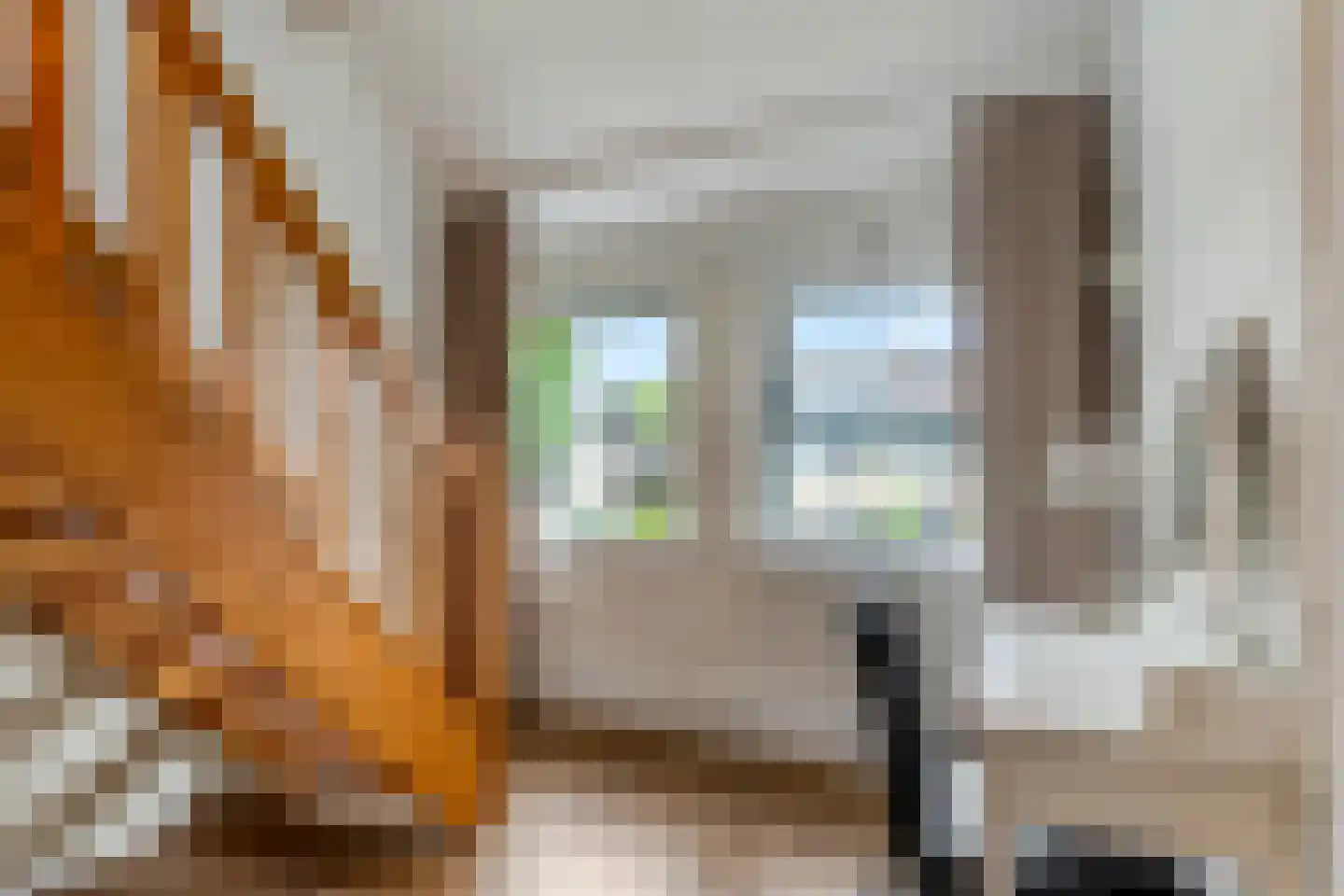 Constantijnstraat 2 Andelst thumbnail 28