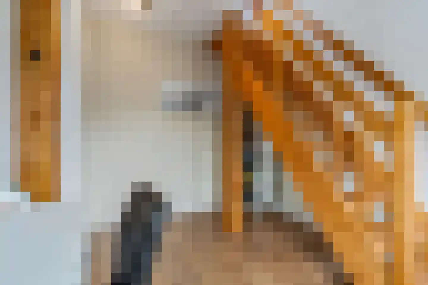 Constantijnstraat 2 Andelst thumbnail 29