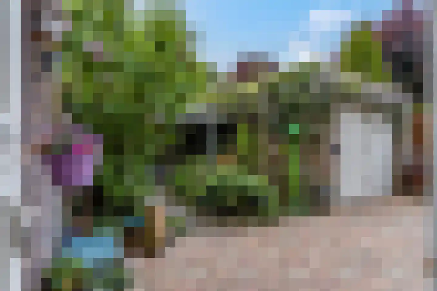 Constantijnstraat 2 Andelst thumbnail 31