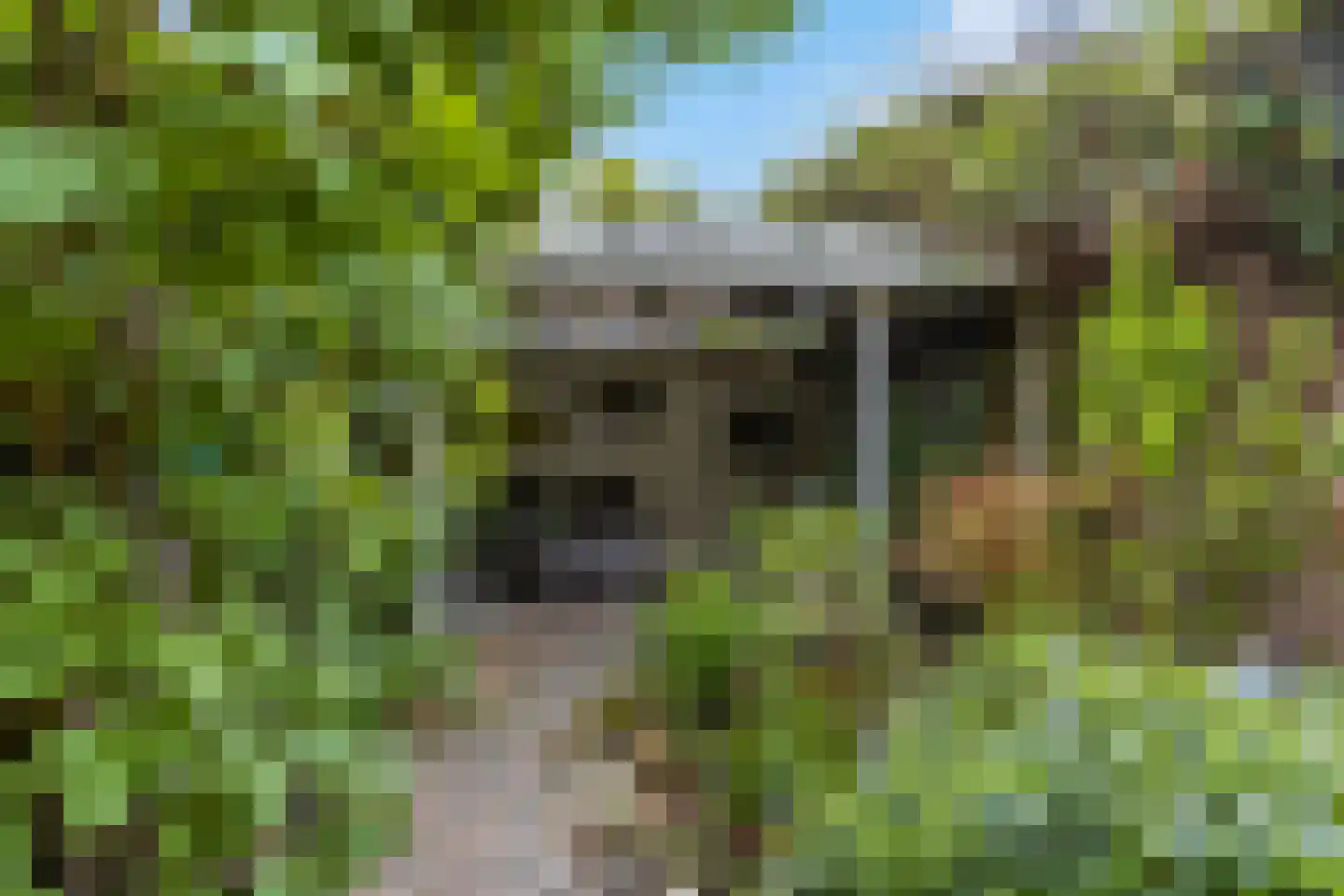 Constantijnstraat 2 Andelst thumbnail 33