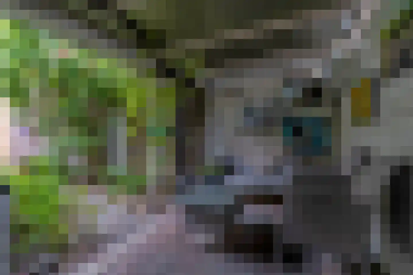 Constantijnstraat 2 Andelst thumbnail 38