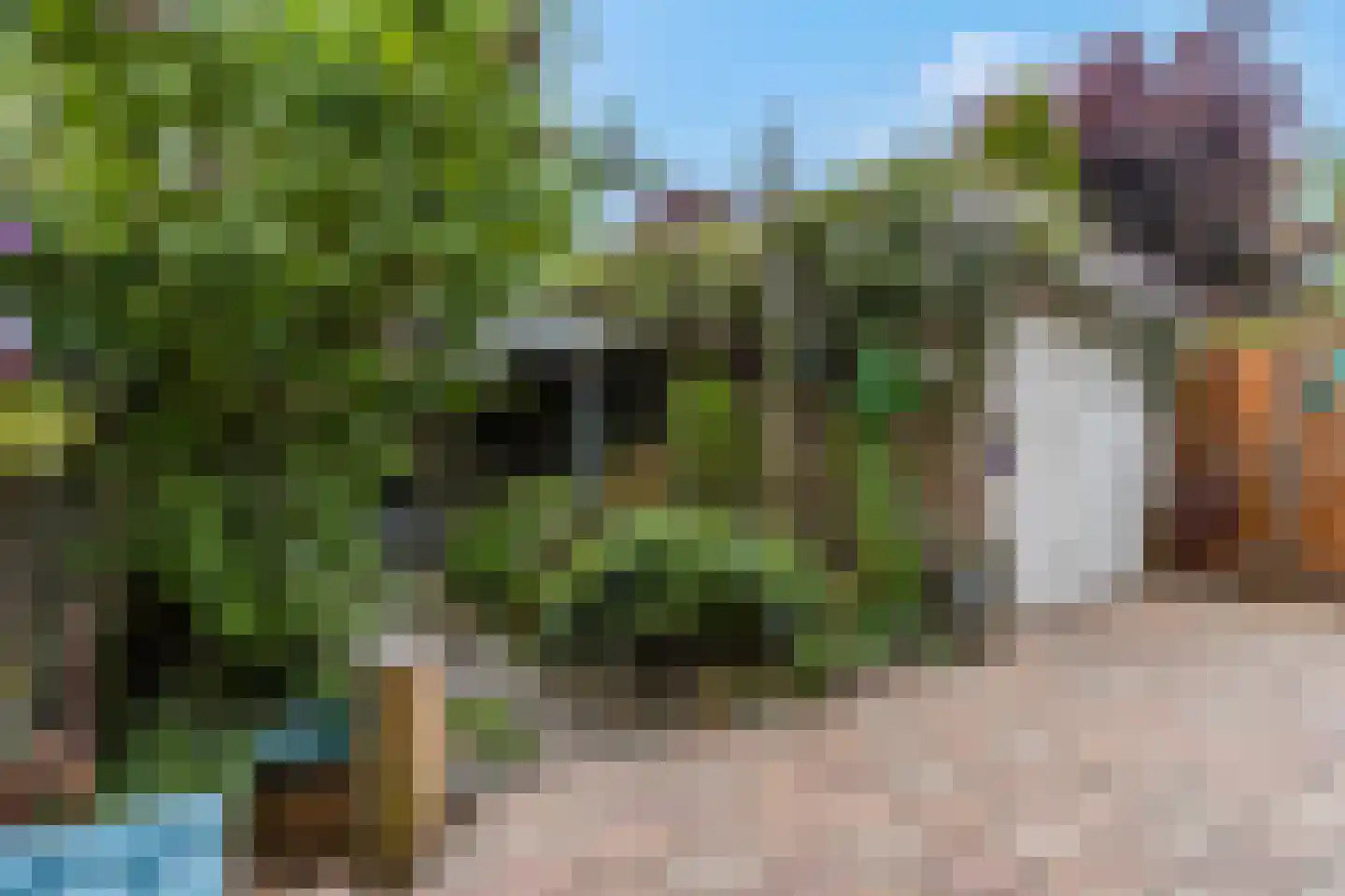 Constantijnstraat 2 Andelst thumbnail 5