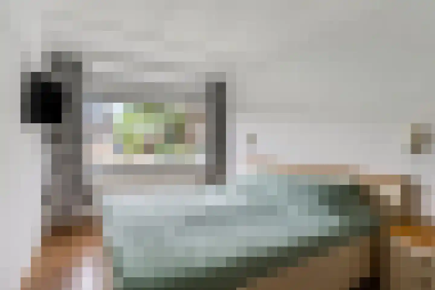 Constantijnstraat 2 Andelst thumbnail 6